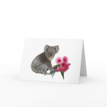 Koala en Eucalyptus