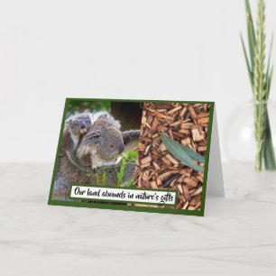 Koala en Eucalyptus Kaart