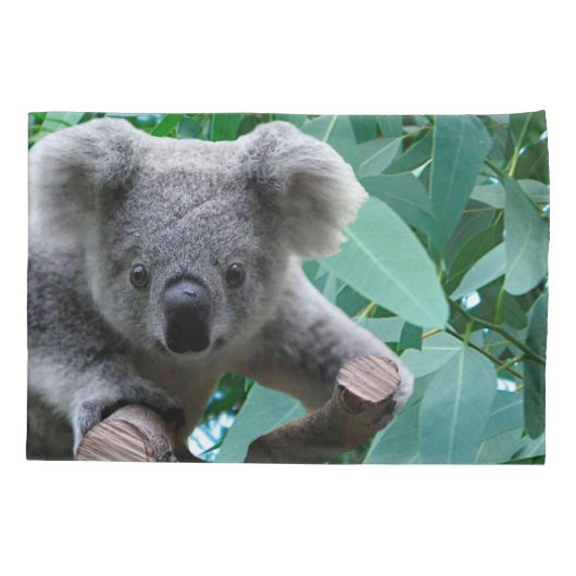 Koala en Eucalyptus Kussensloop (Achterkant)