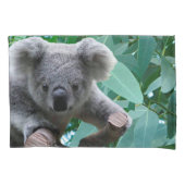 Koala en Eucalyptus Kussensloop (Voorkant)