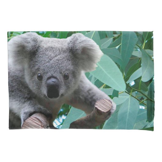 Koala en Eucalyptus Kussensloop (Voorkant)