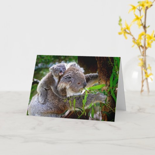 Koala en Joey Moederdag Kaart (Gele Bloem)