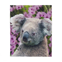 Koala en Orchids