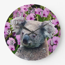 Koala en Orchids