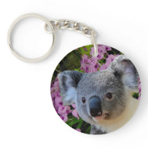 Koala en Orchids