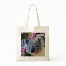 Koala en Orchids