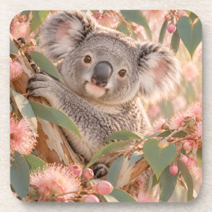 Koala Eucalyptus Bloesem Natuur Kunst Bier Onderzetter