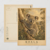 Koala Eucalyptus Bos VINTAGE Briefkaart (Voorkant / Achterkant)