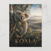 Koala Eucalyptusbos DIEREN
