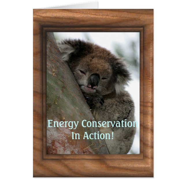 Koala - Extraordinaire voor energiebehoud! (Voorkant)