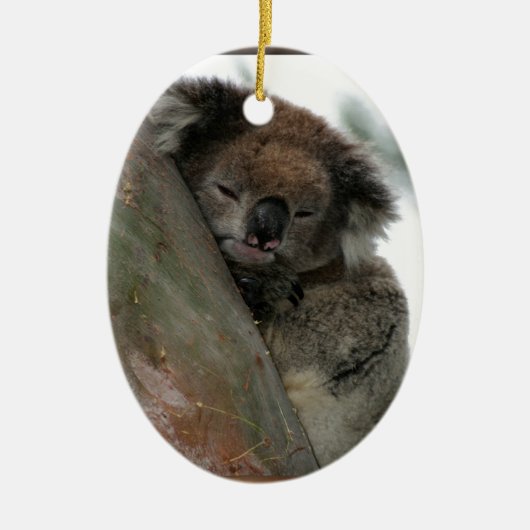 Koala - Extraordinaire voor energiebehoud! Keramisch Ornament (Voorkant)