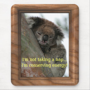 Koala - Extraordinaire voor energiebehoud! Muismat