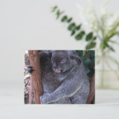Koala Family Briefkaart (Staand voorkant)