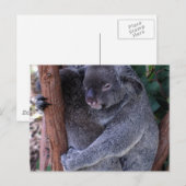 Koala Family Briefkaart (Voorkant / Achterkant)