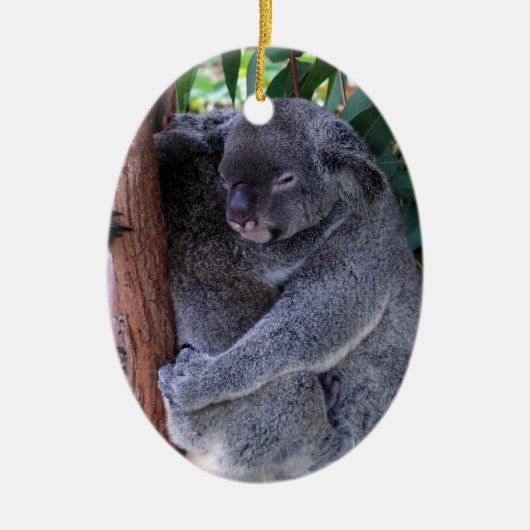 Koala Family Ornament (Voorkant)