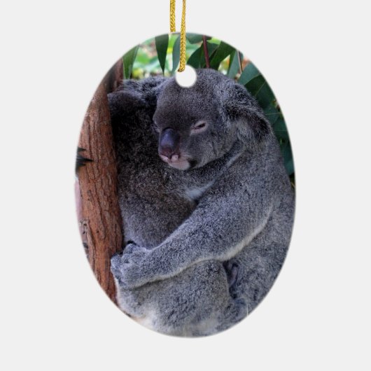 Koala Family Ornament (Achterkant)