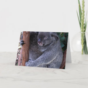 Koala Family Wenskaart Kaart