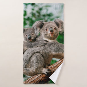 Koala, fascolarctos cinereus, Vrouw met jou Badhanddoek