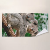 Koala, fascolarctos cinereus, Vrouw met jou Badhanddoek (Badhanddoek)