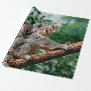 Koala, fascolarctos cinereus, Vrouw met jou Cadeaupapier