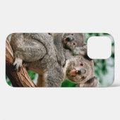 Koala, fascolarctos cinereus, Vrouw met jou Case-Mate iPhone Case (Achterkant (horizontaal))
