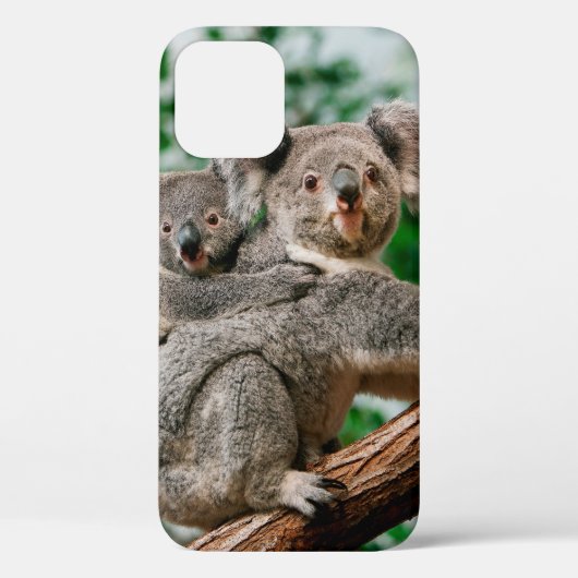 Koala, fascolarctos cinereus, Vrouw met jou Case-Mate iPhone Case (Achterkant)