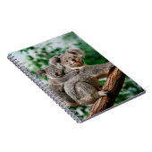Koala, fascolarctos cinereus, Vrouw met jou Notitieboek (Rechterzijde)