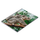 Koala, fascolarctos cinereus, Vrouw met jou Notitieboek (Linkerzijde)