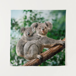 Koala, fascolarctos cinereus, Vrouw met jou Wandkleed