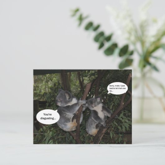 Koala fun briefkaart (Staand voorkant)