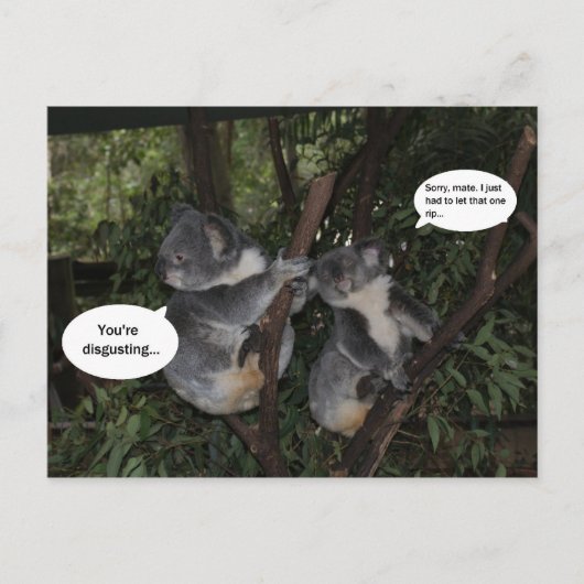 Koala fun briefkaart (Voorkant)