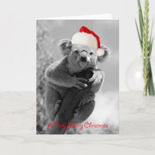 Koala gelukkige Kerstmis Feestdagen Kaart