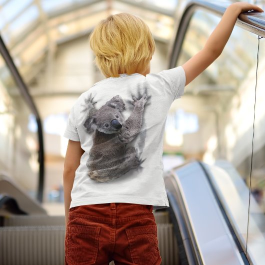 Koala Hang Op Rug Schattige Beer Australië Dier