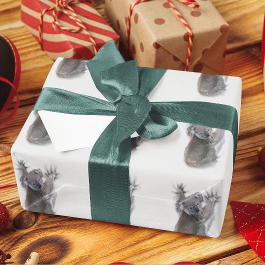 Koala Hang Op Rug Schattige Beer Australië Dier Cadeaupapier