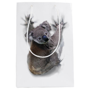 Koala Hang Op Rug Schattige Beer Australië Dier Medium Cadeauzakje