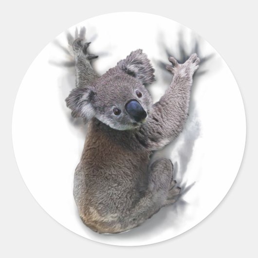Koala Hang Op Rug Schattige Beer Australië Dier Ronde Sticker (Voorkant)