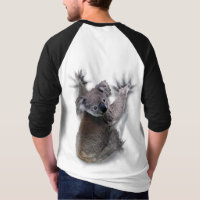 Koala Hang Op Rug Schattige Beer Australië Dier