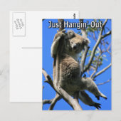 Koala Hanging Out in Australië Briefkaart (Voorkant / Achterkant)