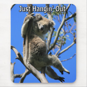 Koala Hanging Out in Australië Muismat