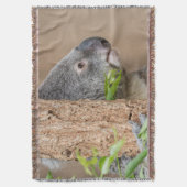 Koala-hoofdschot Deken (Voorkant Verticaal)