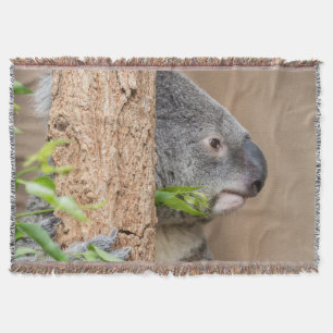 Koala-hoofdschot Deken