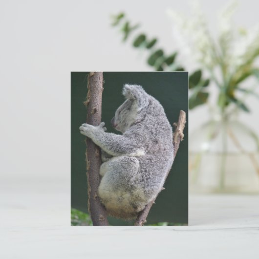 koala hug briefkaart (Staand voorkant)