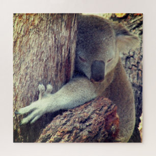 koala hugs legpuzzel