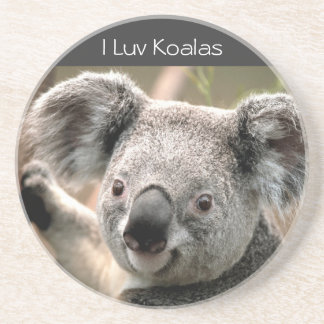 Koala, I Luv Koalas Zandsteen Onderzetter