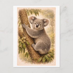 Koala-illustratie in vintage stijl briefkaart
