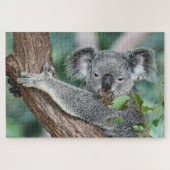 Koala in de boom legpuzzel (Horizontaal)