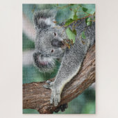 Koala in de boom legpuzzel (Verticaal)
