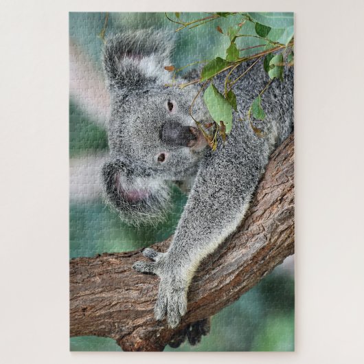 Koala in de boom legpuzzel (Verticaal)