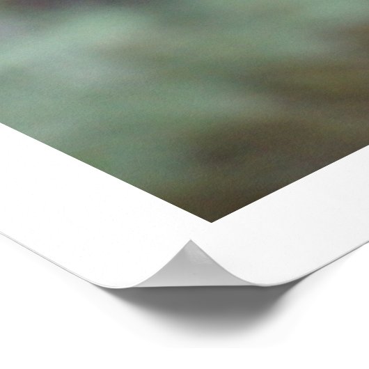 Koala in de boom poster (Hoek)