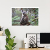 Koala in de boom poster (Thuiskantoor)